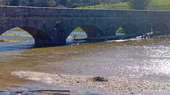Un tronco bloqueaba varios ojos del puente