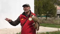 Jornadas F&eacute;lix Rodr&iacute;guez de la Fuente Ara&uacute;zo de Miel