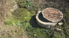 269cfd73-69e6-469b-a3b8-1ca8e4ecff68