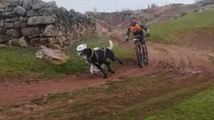 Diputaci&oacute;n de Burgos