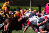 Recoletas Burgos 2031 Caja Rural