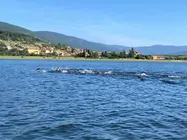 FETRI