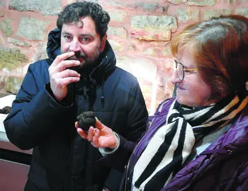 trufa abejar altelarrea