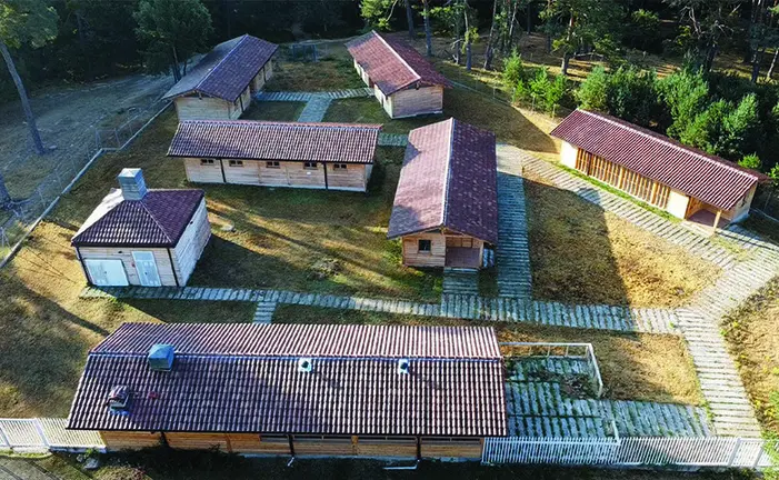 aulas de la naturaleza