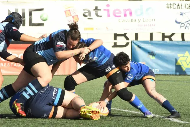 Pingüinas Rugby Burgos