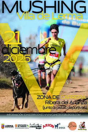 Diputaci&oacute;n de Burgos