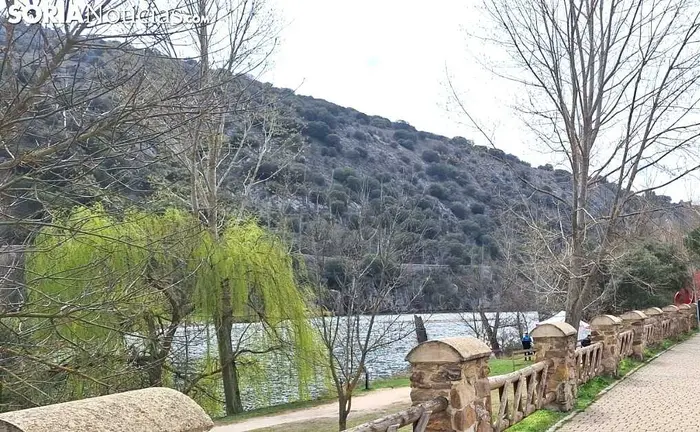 WhatsApp-Image-2026-03-20-at-12-27-12_260320122852