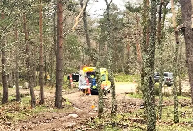 46b9b5bd-ce08-4493-bf91-450f6acdd0ca