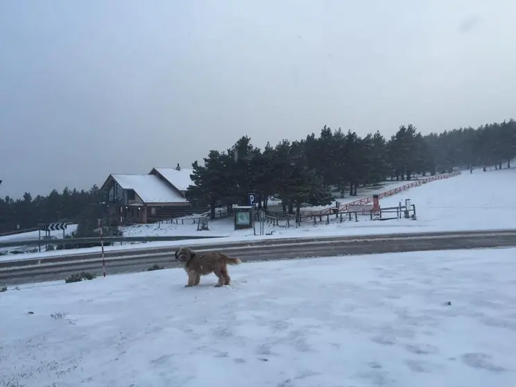 Nieve santa ines 1