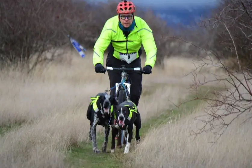 CANICROSS3