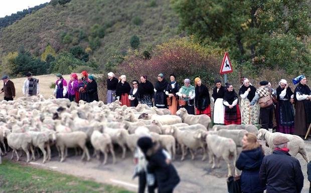 Tolbaños pastores