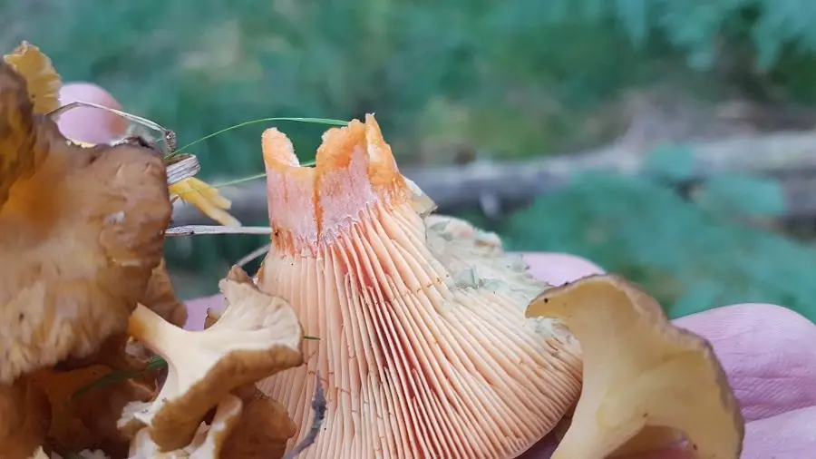 20190915_143008