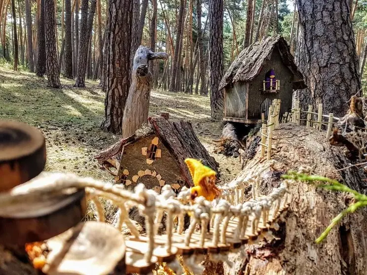 Bosque Mágico en San Leonardo de Yagüe