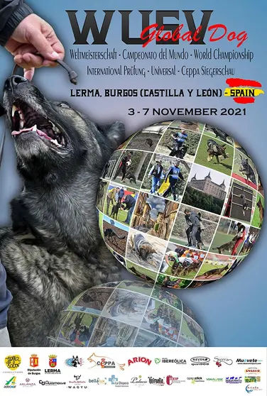 wusv-lerma2021