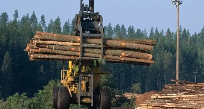 extraccion-de-la-madera
