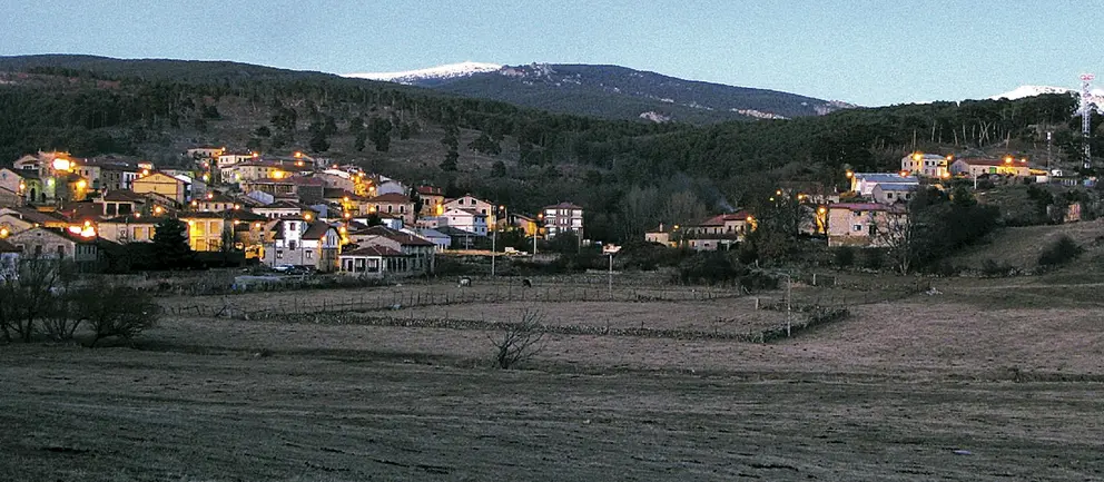 Regumiel copia