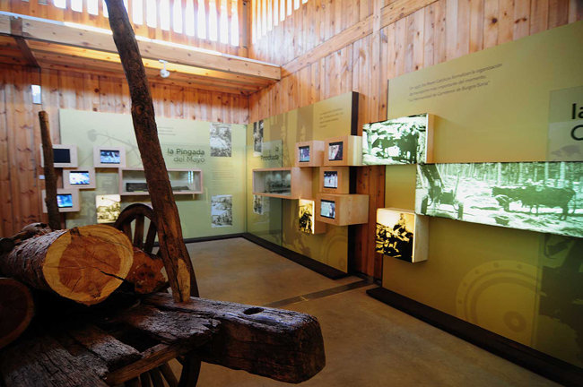 museo del bosque 2