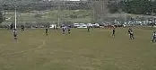 abejar