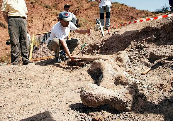 dinosaurio ornitópodo Barbadillo del Mercado