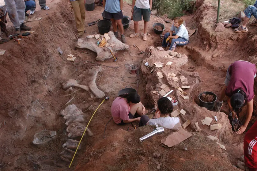 excavacion en el oterillo Bloque con vértebras a la derecha de la imagen