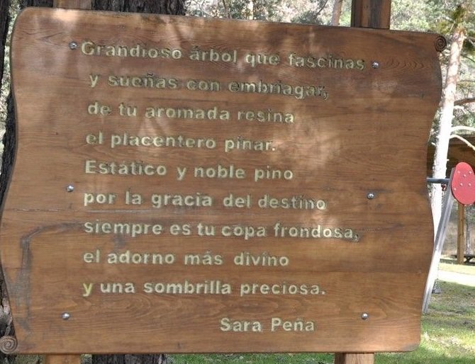 Poema-de-Sara-Pena-25907
