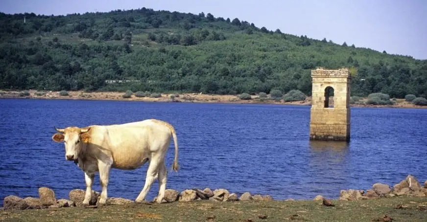 embalsecuerdadelpozo