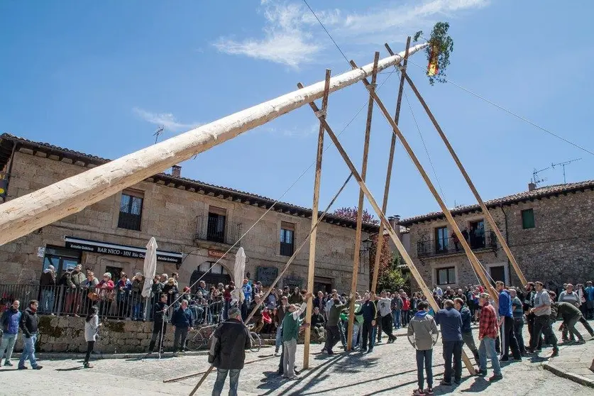 IMG_6587 Pingada del Mayo en Molinos de Duero 2017. Foto Angel Leiva