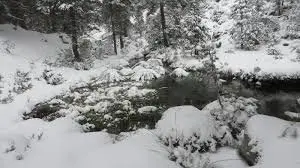 Laguna Verde