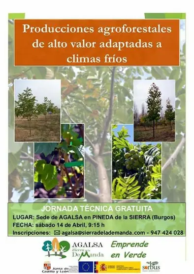 16.ProduccionesAgroforestales