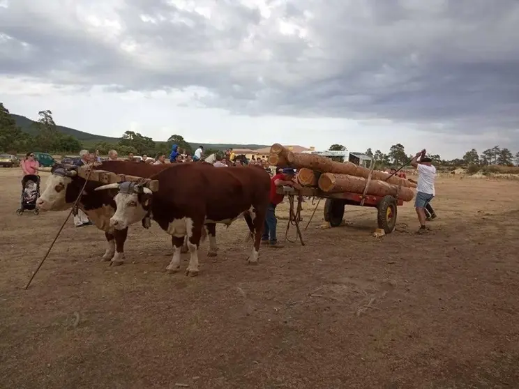 COVALEDA FERIA 3