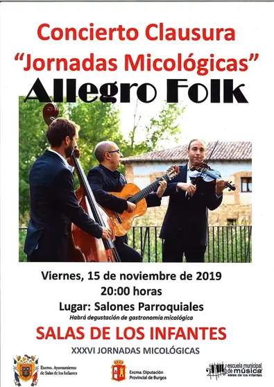 GRUPO DE MUSICA ALLEGRO FOLK