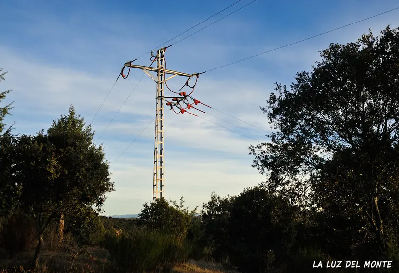 MONTES TENDIDO ELECGRICO