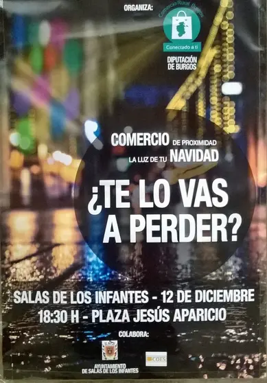 LUCES DE NAVIDAD EN SALAS