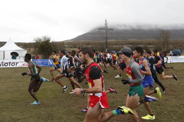 cross soria.3 reducido