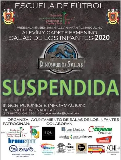 salas suspension