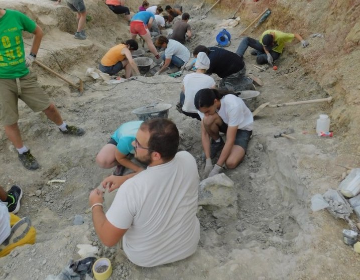 Campaña de 2019 en las excavaciones de Torrelara. Fotografías: Colectivo Arqueológico y Paleontológico de Salas (C.A.S.)