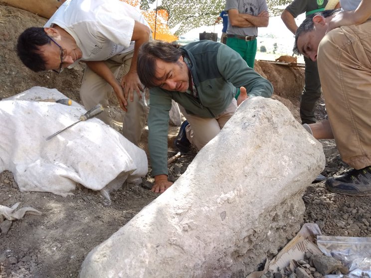Torcida y Canudo con húmero en las excavaciones. Fotografías: Fundación Dinosaurios