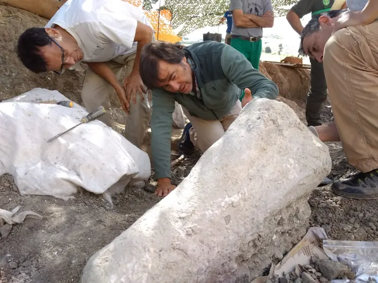 Torcida y Canudo con húmero en las excavaciones. Fotografías: Fundación Dinosaurios