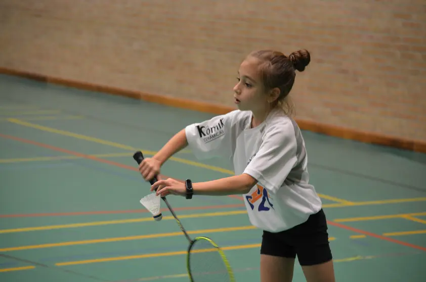 badminton guadarrama