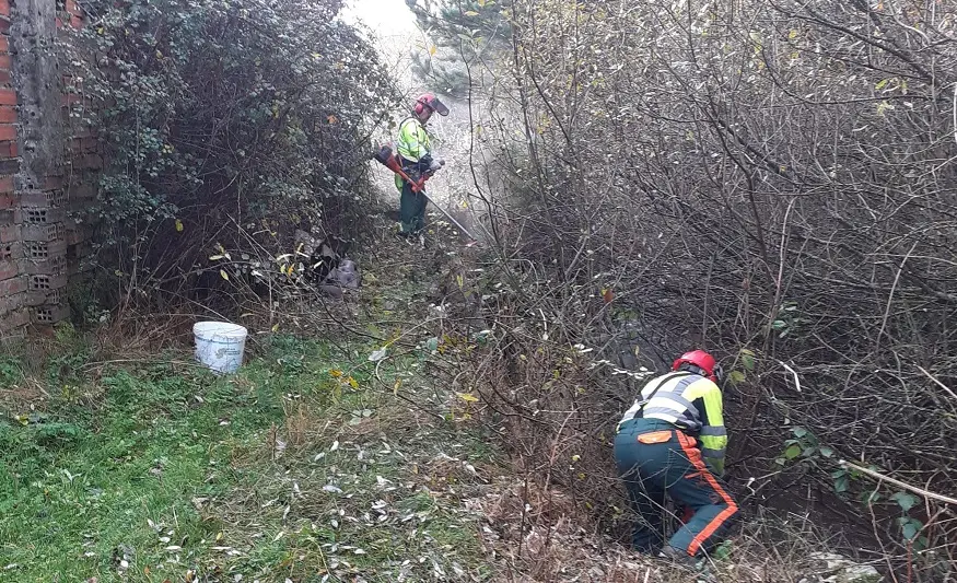 interfaz urbano en Duruelo de la Sierra A