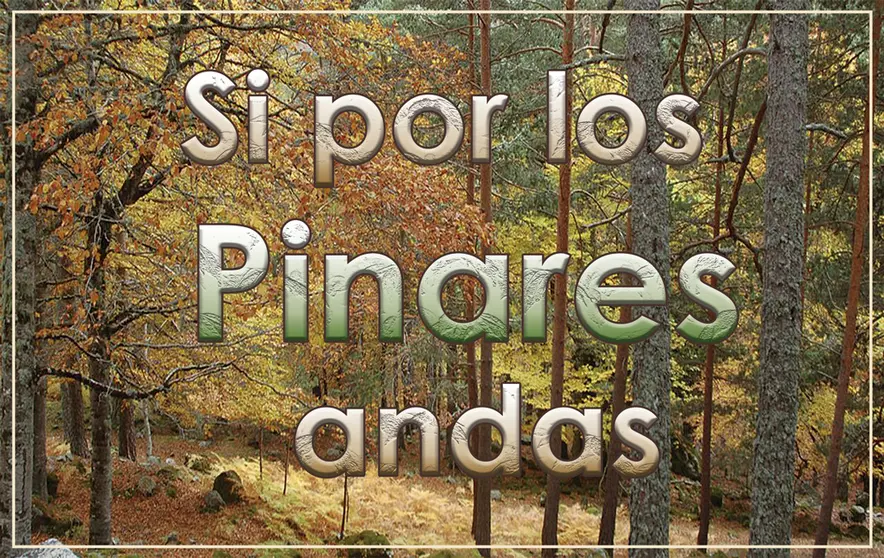 Si-por-los-pinares-andas