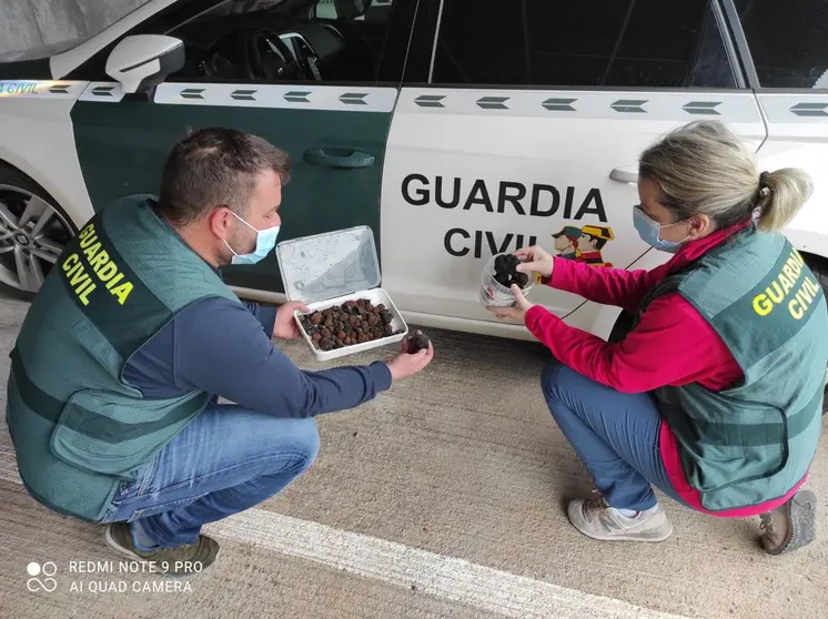 FOTO guardia civil trufas nafria ucero