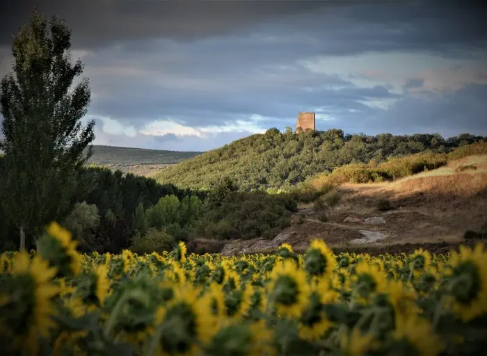 CASTROVIDO DE AQUILINO MOLINERO