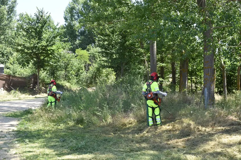 Brigadas Forestales trabajando