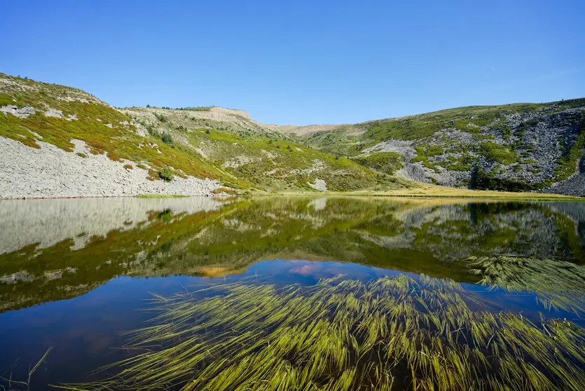 LAGUNA CEBOLLERA