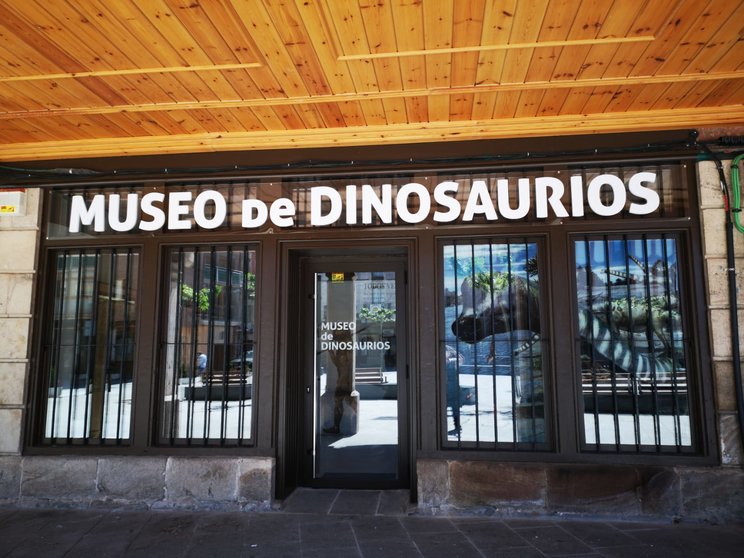 ENTRADA AL MUSEO DE LOS DINOSAURIOS