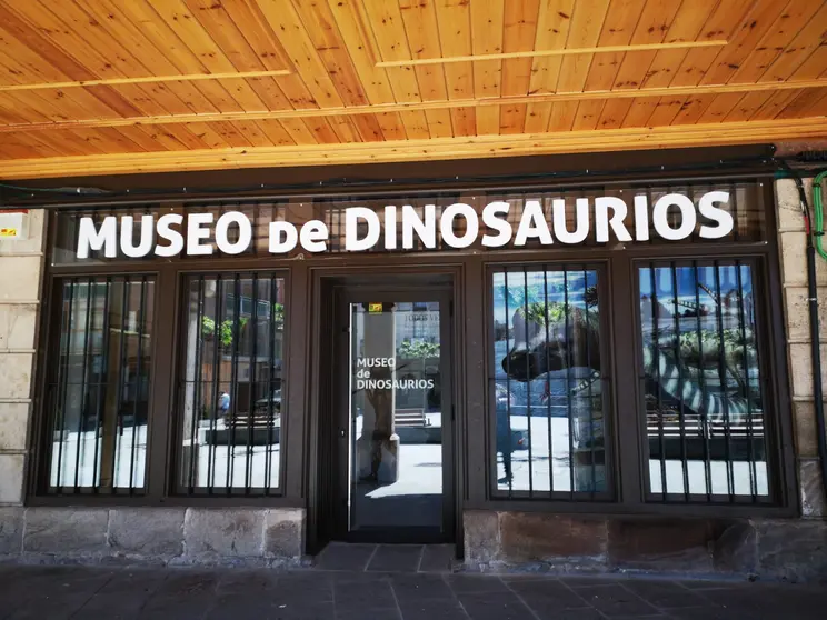 ENTRADA AL MUSEO DE LOS DINOSAURIOS