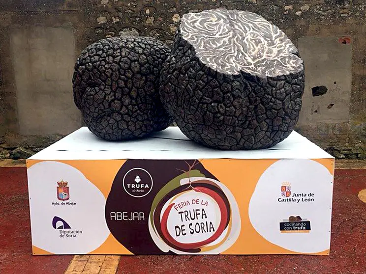 Emblema de la trufa en la Feria de Abejar