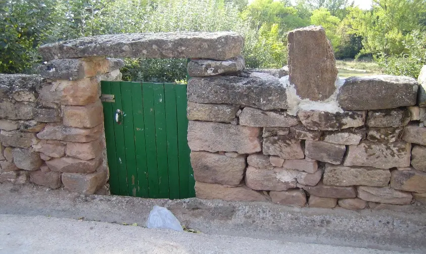 Trozo de árbol fósil en un huerto de Castrovido