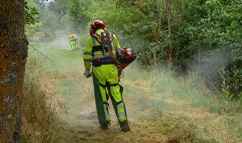 Brigadas Forestales acomentiendo trabajos de limpieza en Villaverde